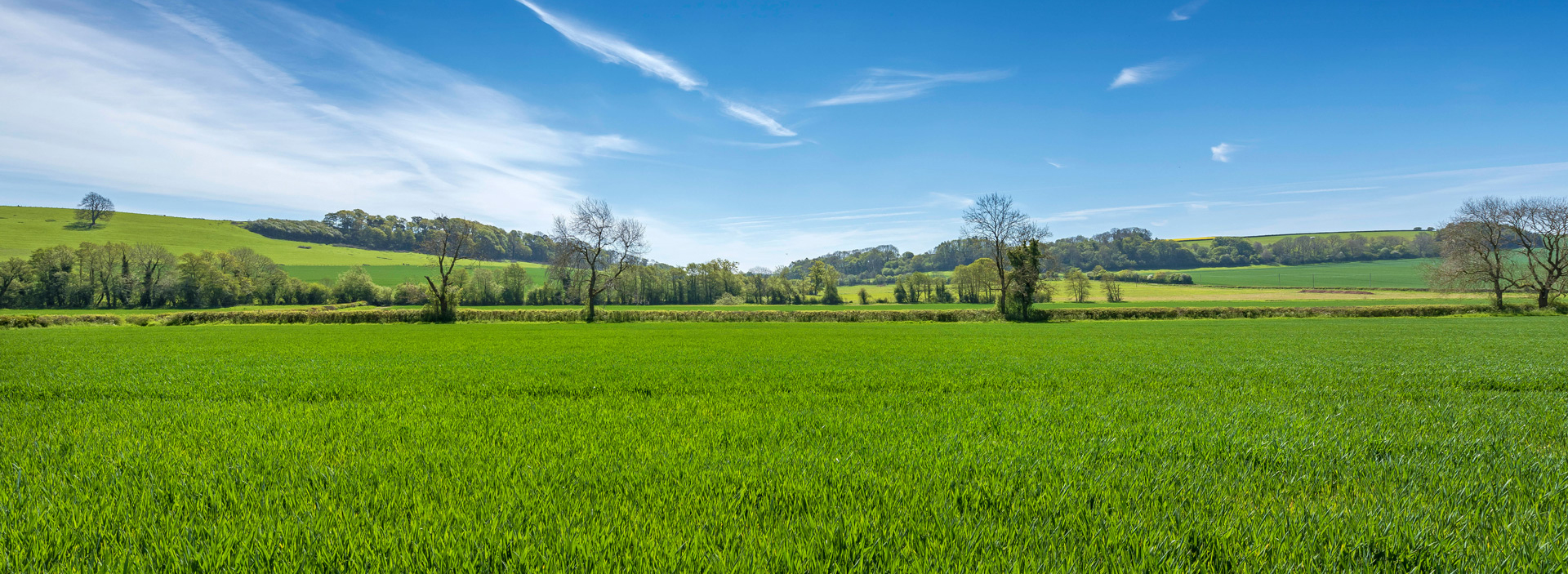 Residential Park Homes For Sale At Persthope Grange In Shropshire
