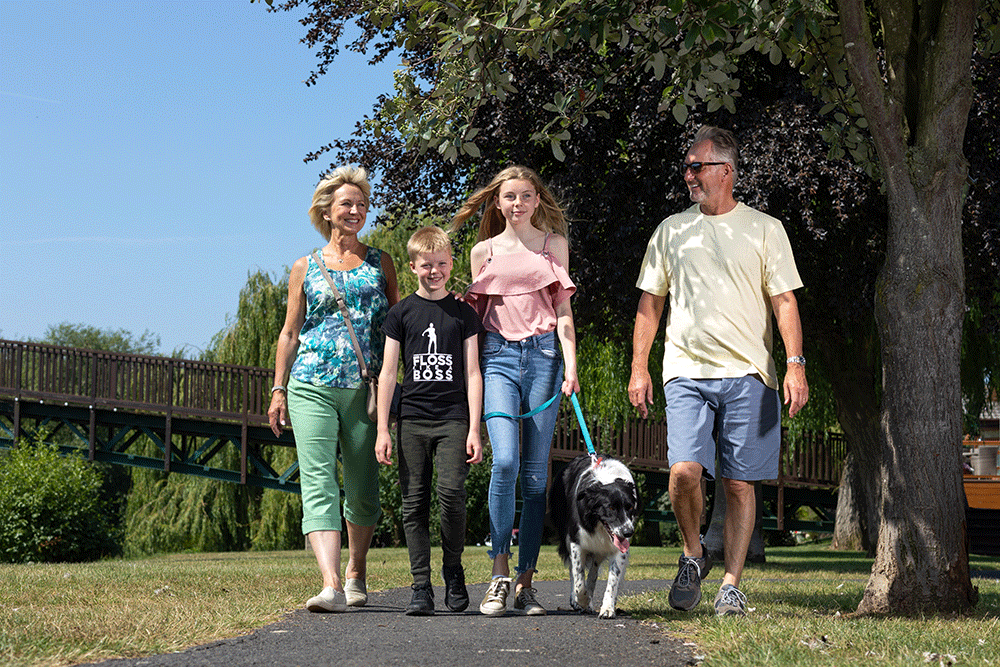 Family dog walk