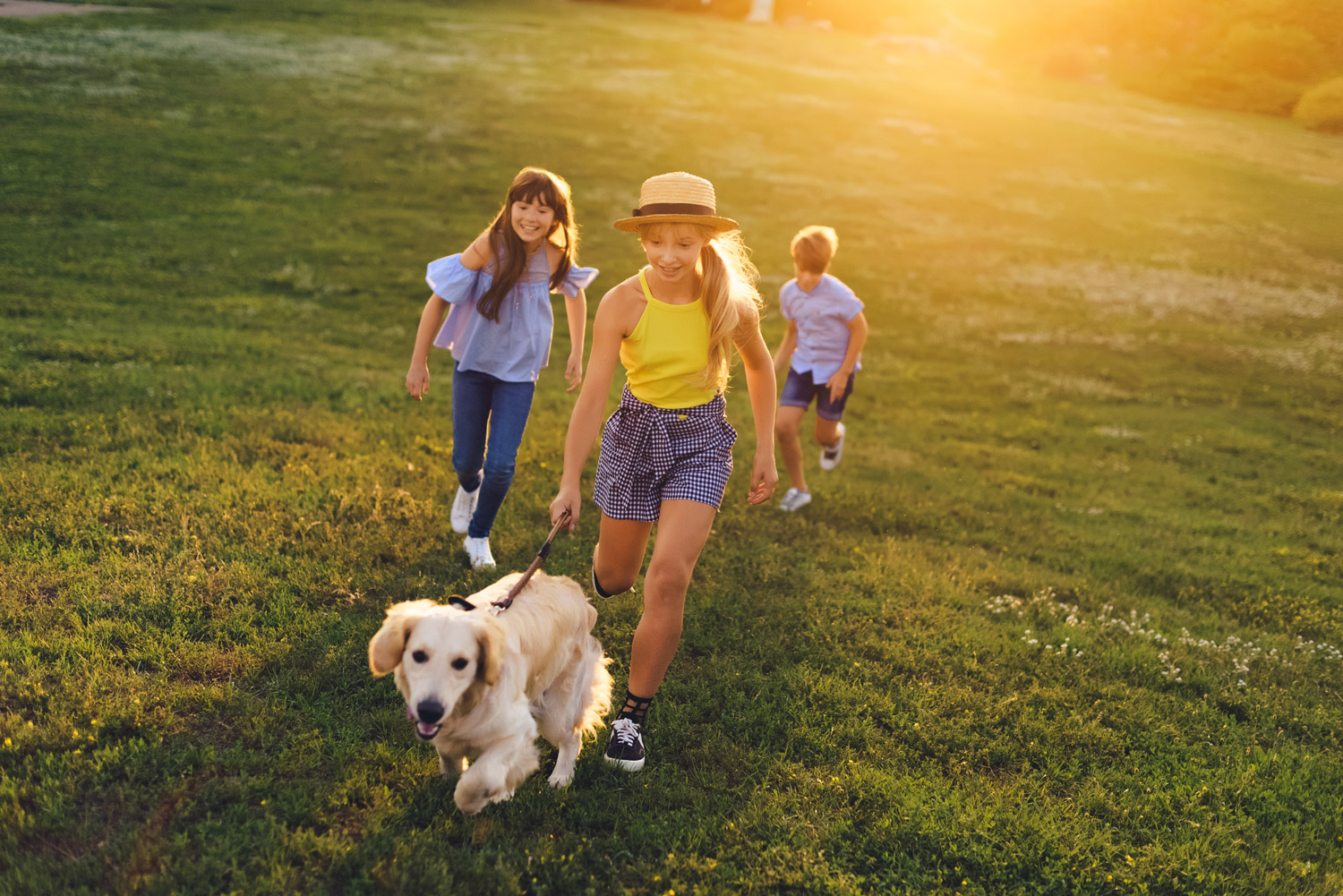 children and dog walking up a hill