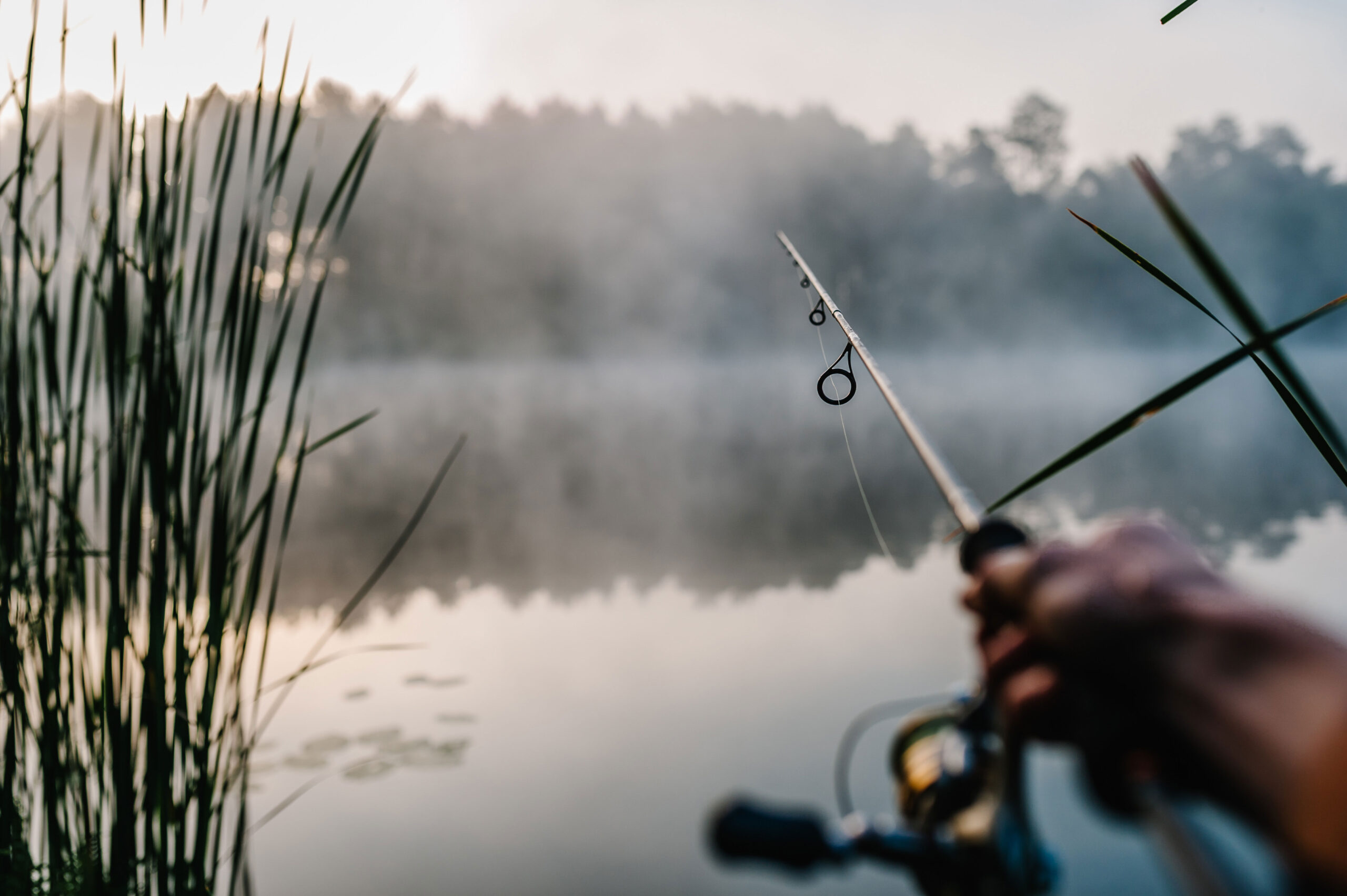 fishing