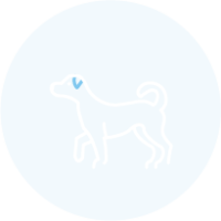 Dogs Welcome