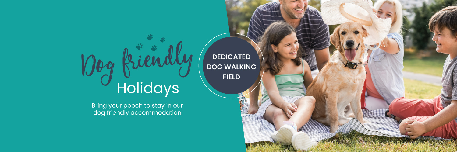 Dog Friendly Holidays