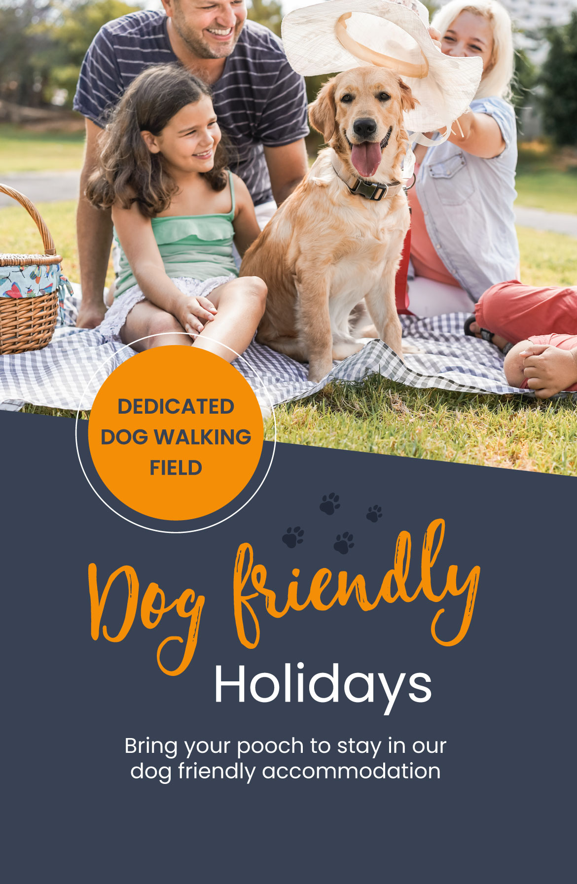 Dog Friendly Holidays