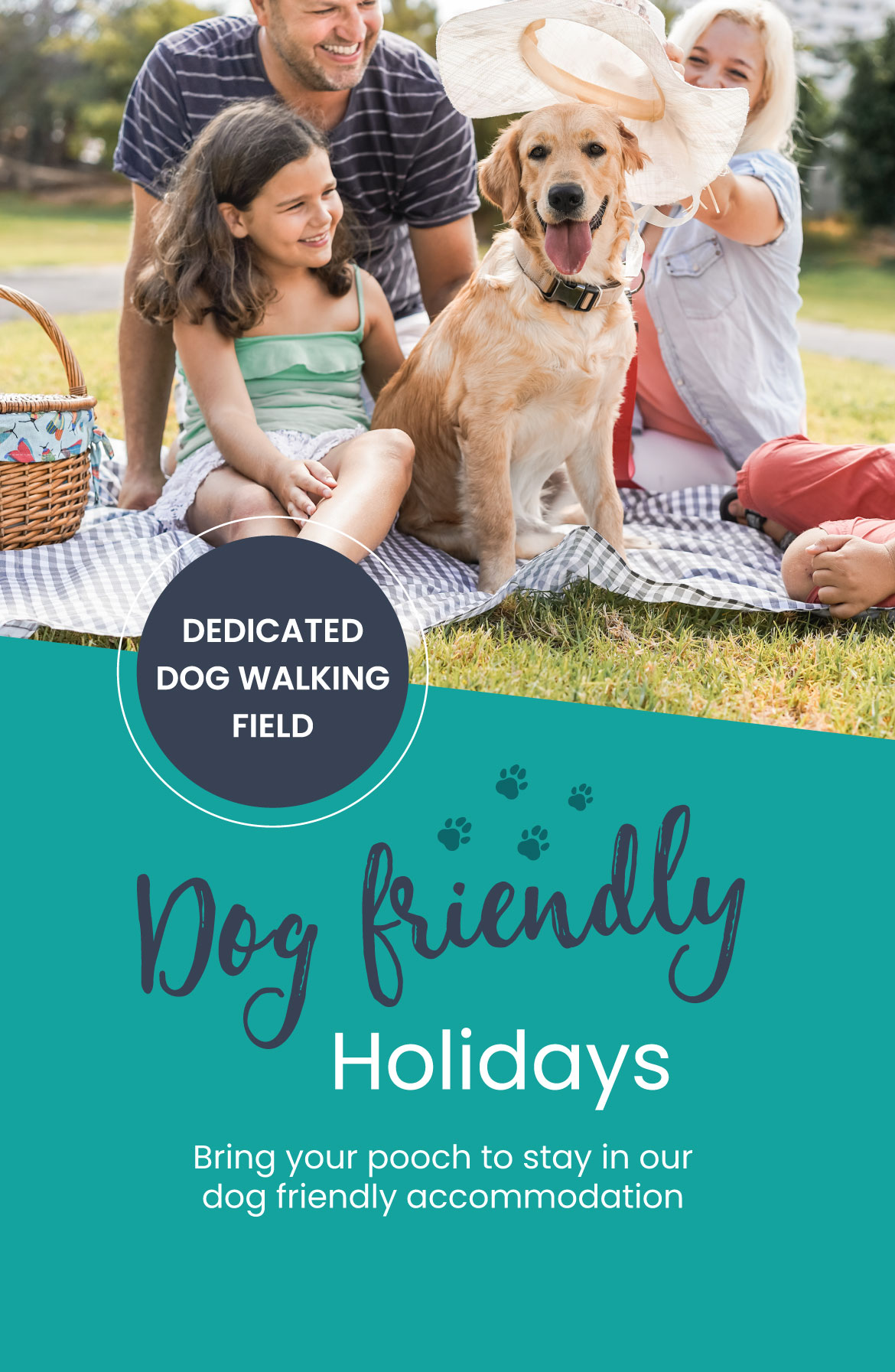 Dog Friendly Holidays