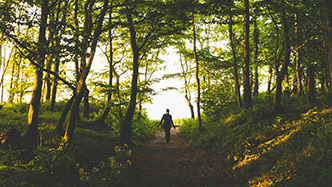 walking-welford-chase-park-local-attractions