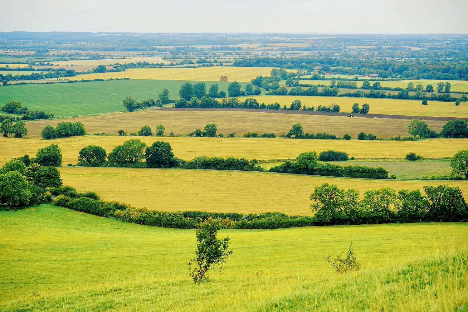 Countryside