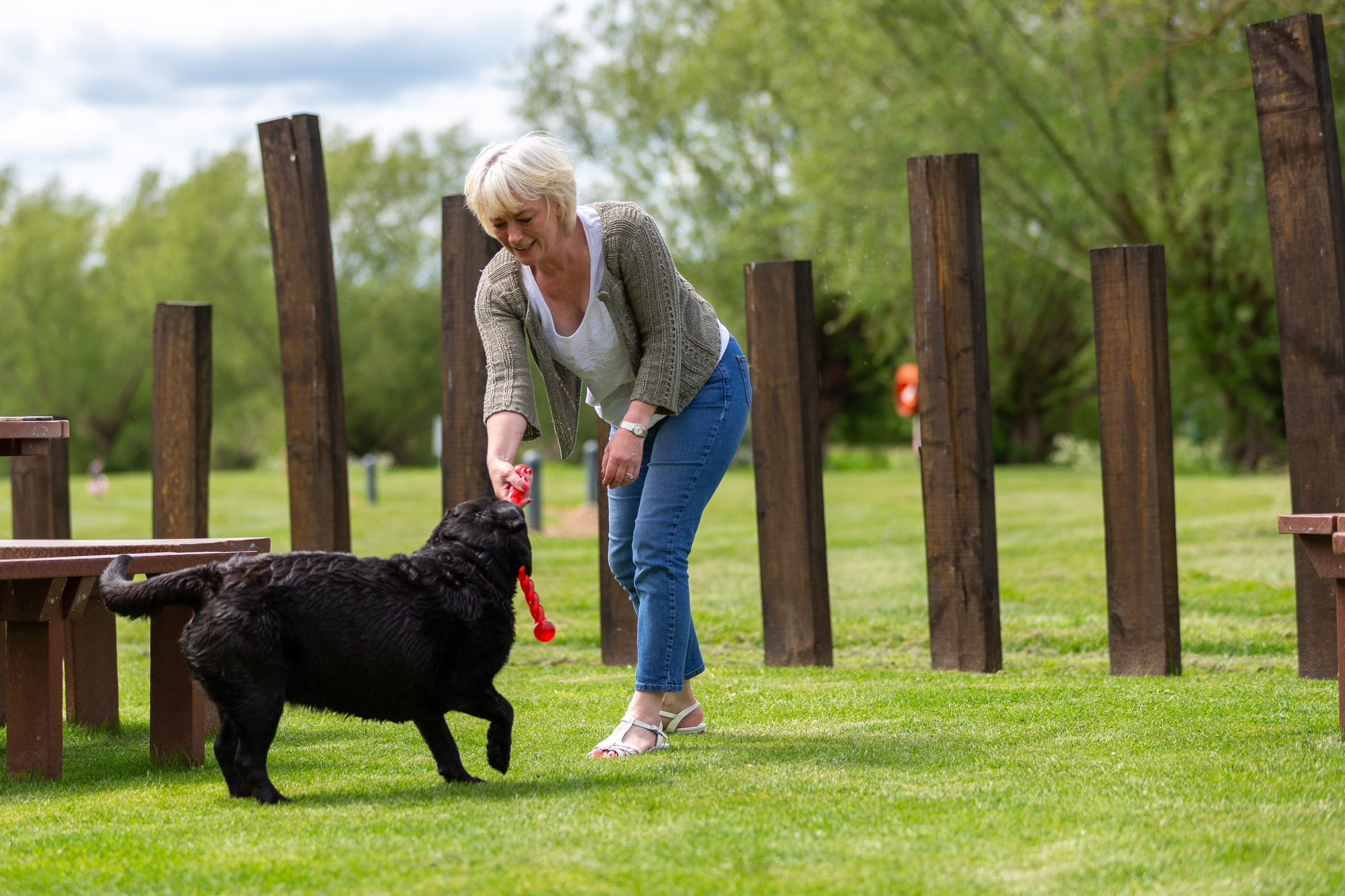 Dog Friendly at Stratford Parks