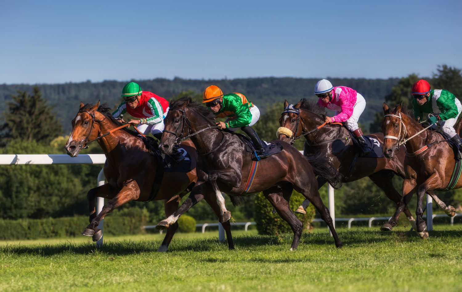 Stratford-upon-Avon racecourse