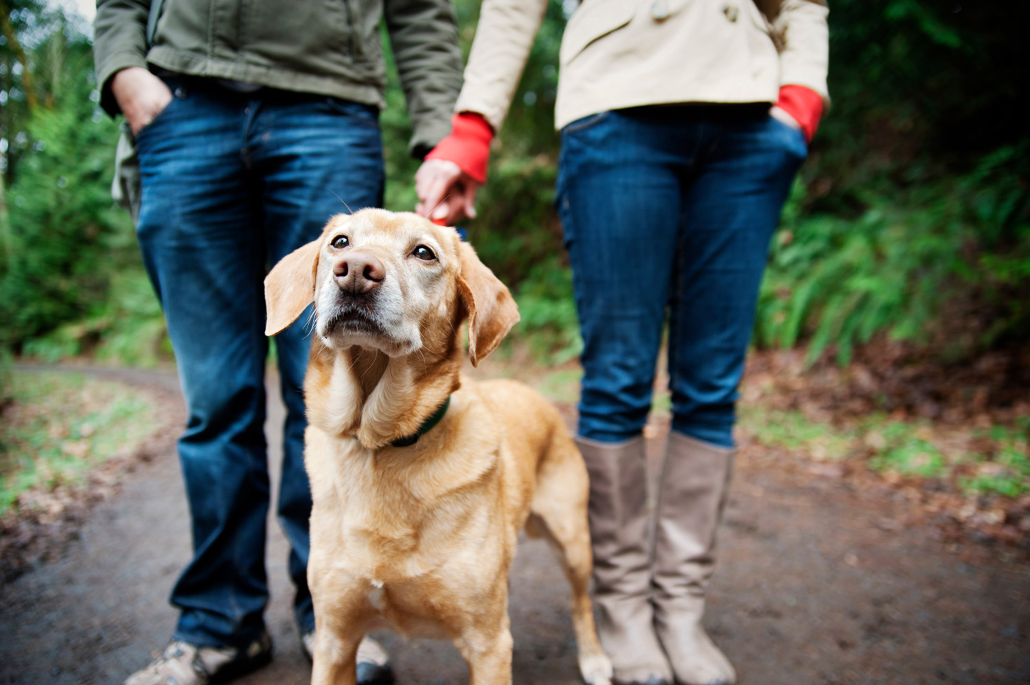 dog and two owners in wellies