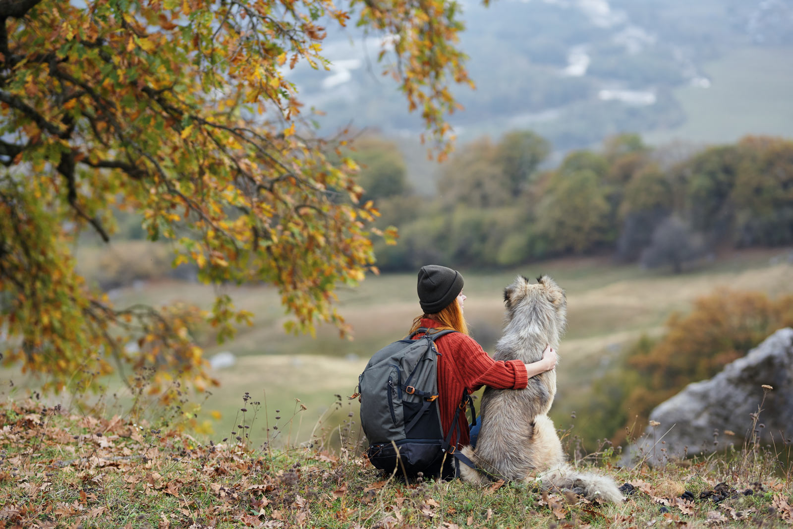 woman and dog forest view