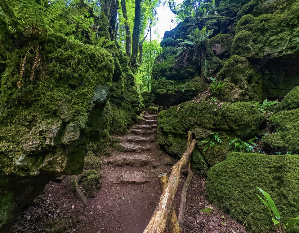 Puzzlewood