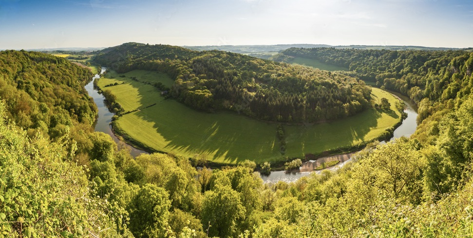 The Forest of Dean