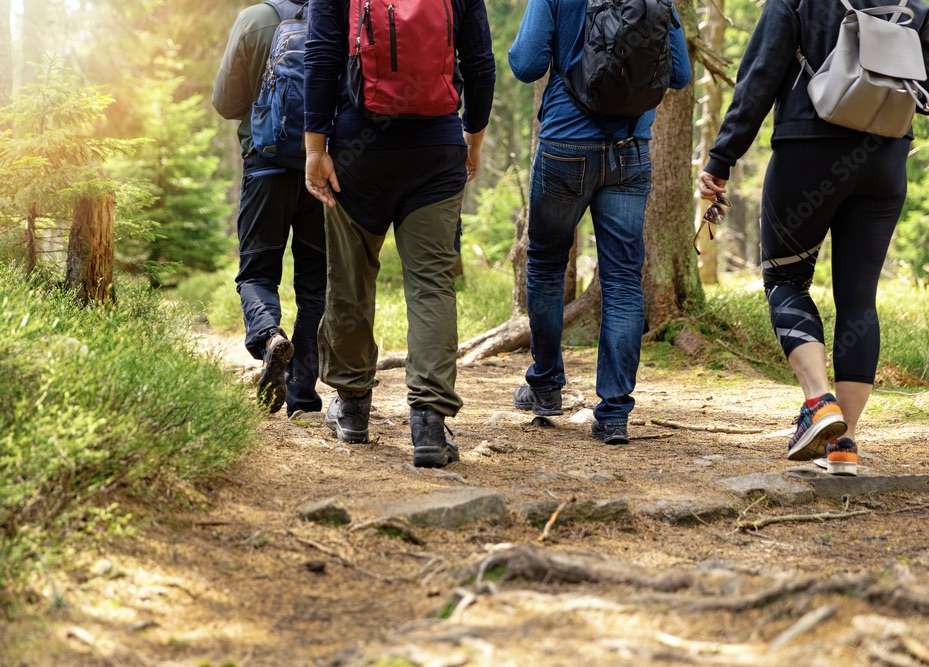 Walking in the Forest of Dean