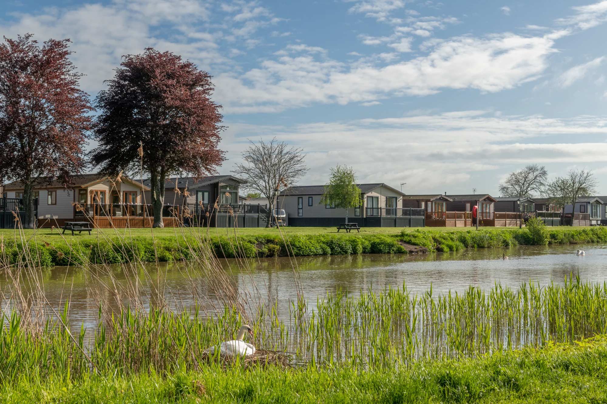 Avon Estates